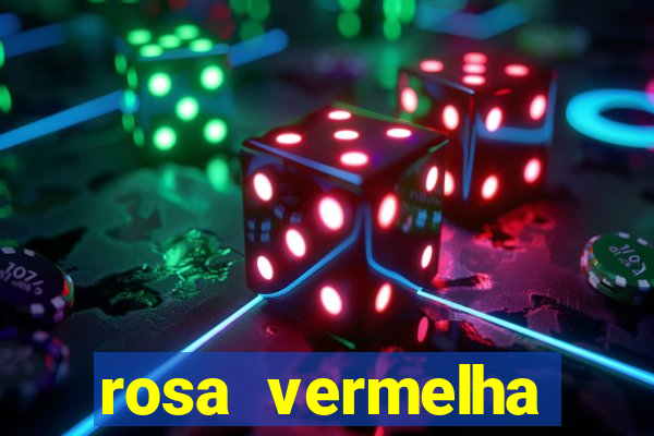 rosa vermelha (letra e cifra)